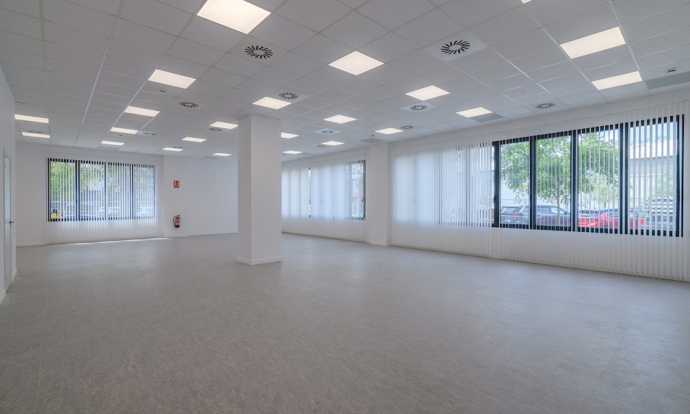 Despacho PB 1ª (205 m²)