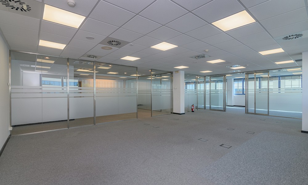 Despatx 3r 4ta + 3r 5a (363 m²) - Constitució 2